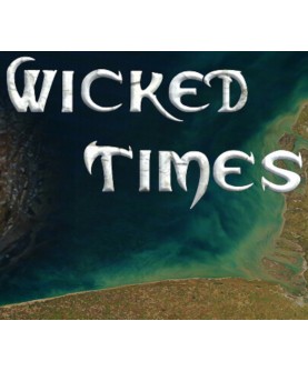 Wicked Times Steam Key GLOBAL